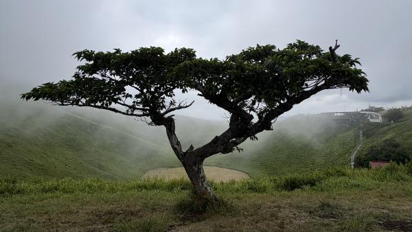 Why you see this portfolio